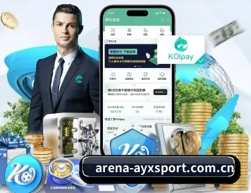 ayx官网 APP 深度功能